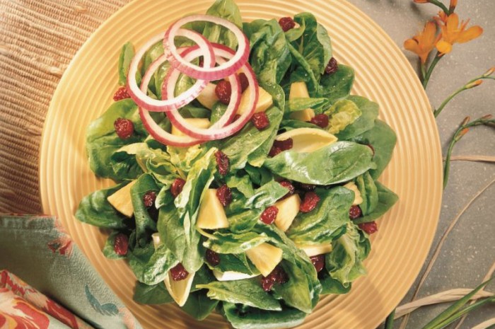 Spinach Salad with Cherries - Choose CherriesChoose Cherries