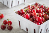 Montmorency Tart Cherries: From the Tree to the Table